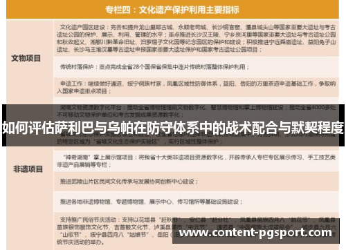 如何评估萨利巴与乌帕在防守体系中的战术配合与默契程度