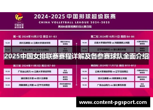 2025中国女排联赛赛程详解及各参赛球队全面介绍
