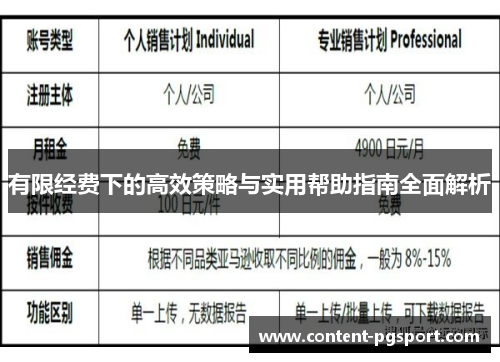 有限经费下的高效策略与实用帮助指南全面解析