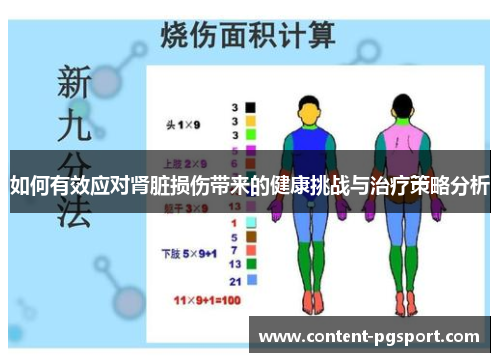 如何有效应对肾脏损伤带来的健康挑战与治疗策略分析