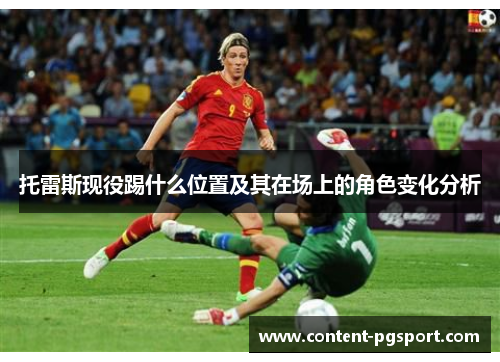 托雷斯现役踢什么位置及其在场上的角色变化分析 托雷斯现役踢什么位置及其在场上的角色变化分析