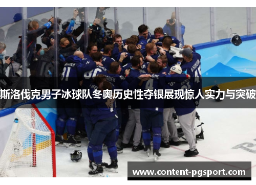 斯洛伐克男子冰球队冬奥历史性夺银展现惊人实力与突破